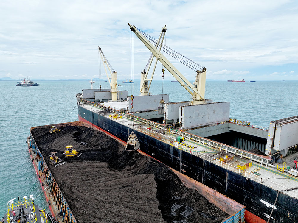Coal Projects